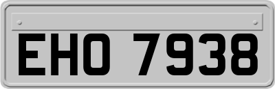 EHO7938