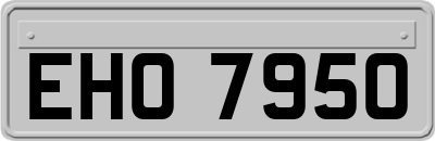 EHO7950