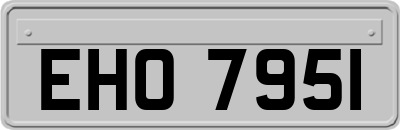 EHO7951