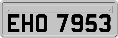 EHO7953