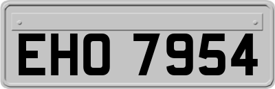 EHO7954