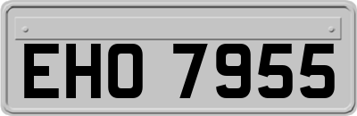EHO7955