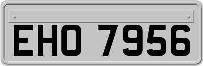 EHO7956