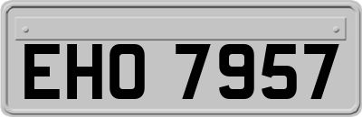 EHO7957