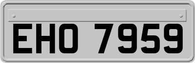 EHO7959