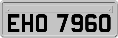 EHO7960