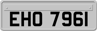 EHO7961