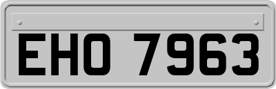 EHO7963