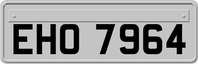 EHO7964