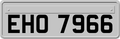 EHO7966
