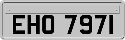 EHO7971