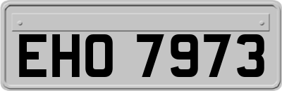 EHO7973