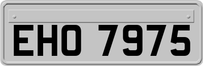 EHO7975