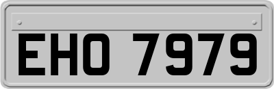 EHO7979