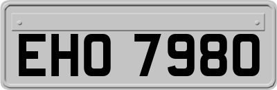 EHO7980