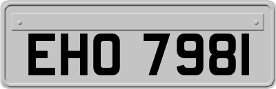 EHO7981