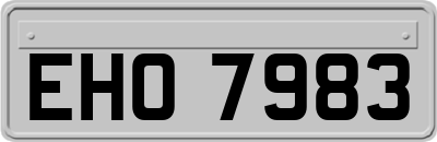 EHO7983