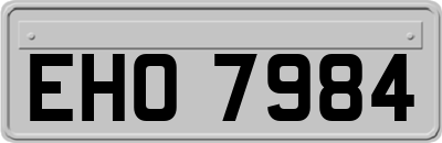 EHO7984