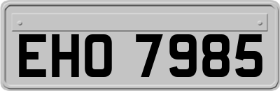 EHO7985