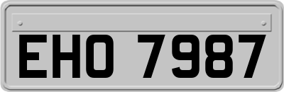 EHO7987