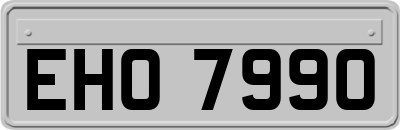 EHO7990