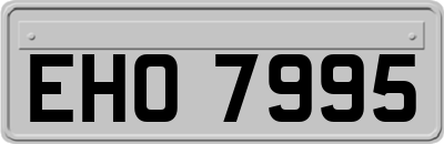 EHO7995