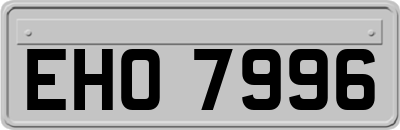 EHO7996