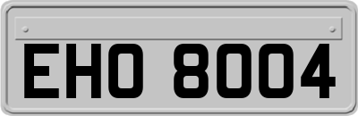 EHO8004