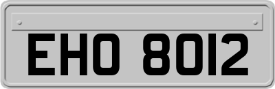 EHO8012