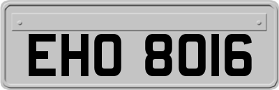 EHO8016