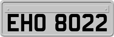 EHO8022