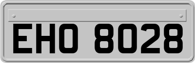 EHO8028