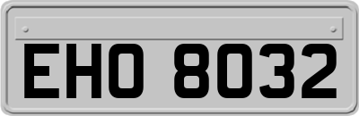 EHO8032