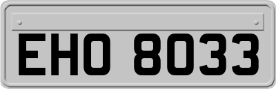 EHO8033
