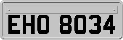 EHO8034