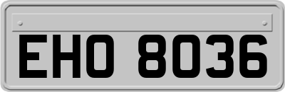 EHO8036