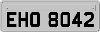 EHO8042