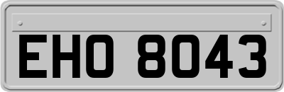 EHO8043