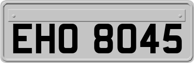 EHO8045