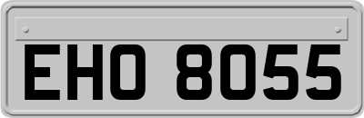 EHO8055