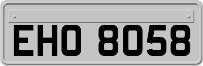 EHO8058