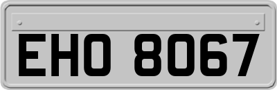 EHO8067