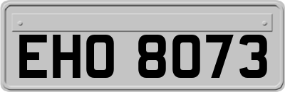 EHO8073