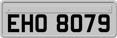 EHO8079