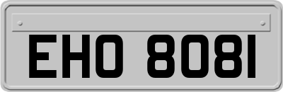 EHO8081