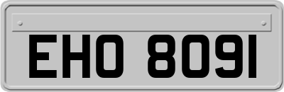 EHO8091