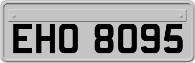 EHO8095