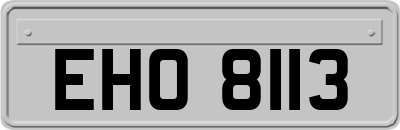 EHO8113
