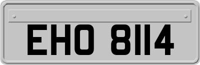 EHO8114