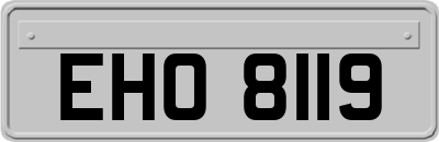 EHO8119